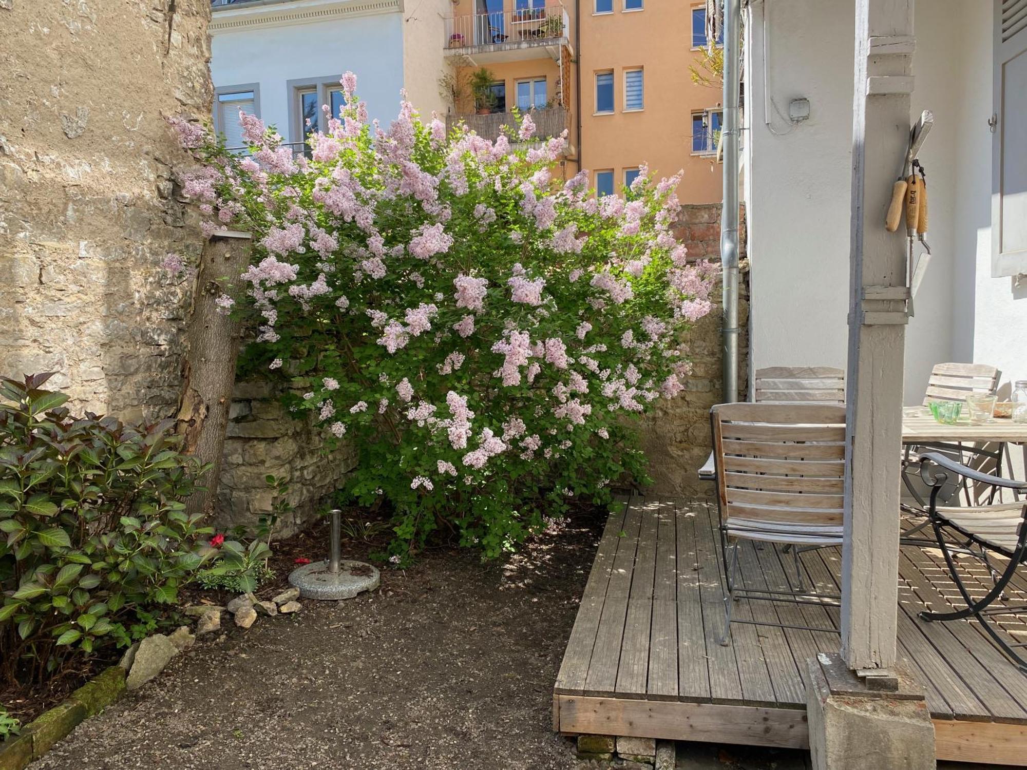 Annadaly Stadtraumwohnung Lörrach Esterno foto